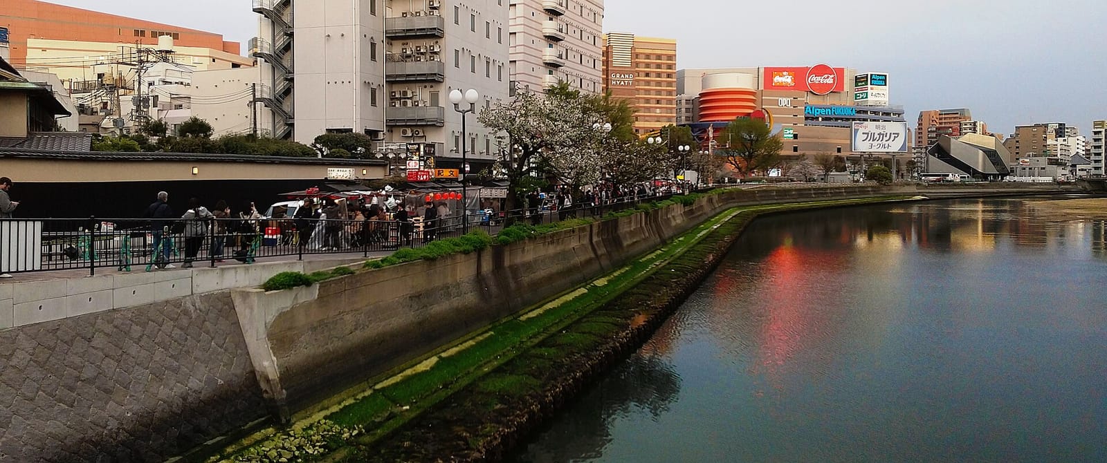 那珂川沿いの中洲の屋台