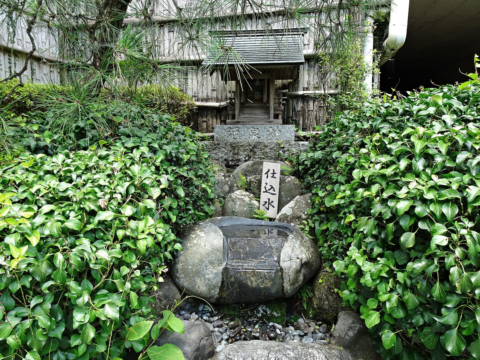 小澤酒造の構内に湧く仕込水の湧出口